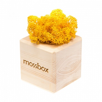 Композиция «Мох в интерьере «MossBox» wooden yellow cube