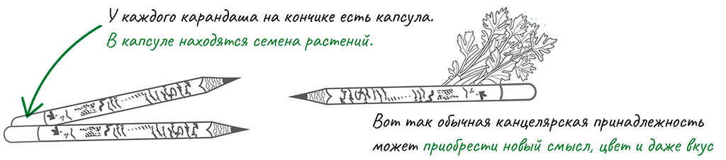 Подчеркивай карандашом. Карандаш схема. Растущий карандаш инструкция. Карандаши которые можно выращивать. Карандаши из которых можно вырастить растение.