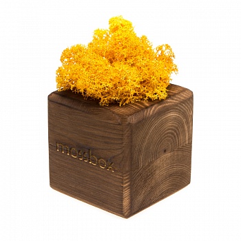 Композиция «Мох в интерьере «MossBox» fire yellow cube