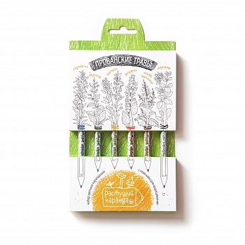 Прованские травы, набор цветных бумажных карандашей 6шт.